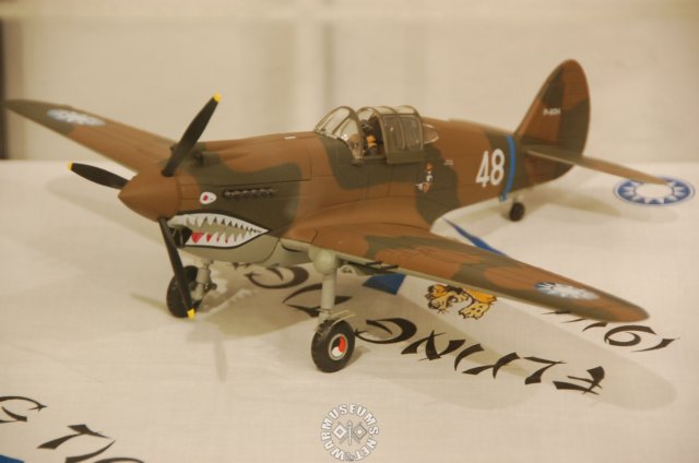 curtissp40scalemodel2.jpg