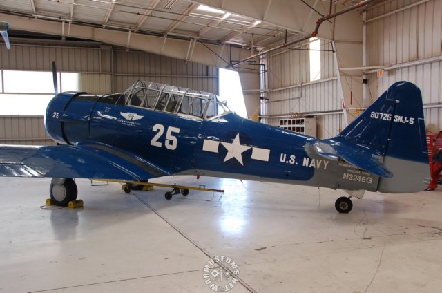 northamericant6texan2.jpg