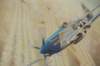 p51mustangpainting_small.jpg