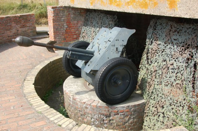 atpak36gunleftsideview.jpg