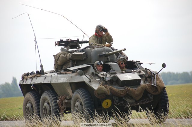 m8greyhound2.jpg