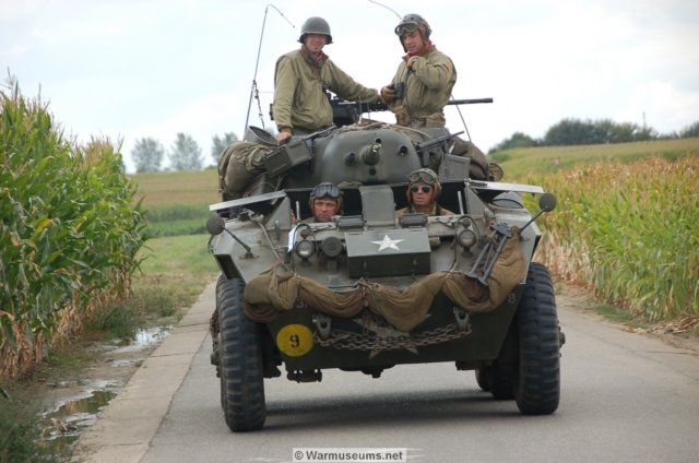 m8greyhound3.jpg