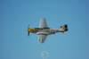 p51dmustang10_small.jpg