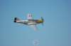 p51dmustang11_small.jpg