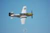 p51dmustang12_small.jpg