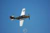 p51dmustang4_small.jpg