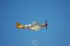 p51dmustang7_small.jpg