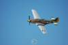 p51dmustang8_small.jpg