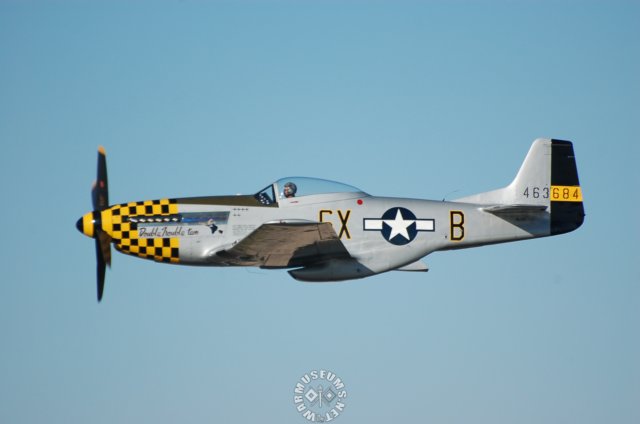 p51dmustang9.jpg