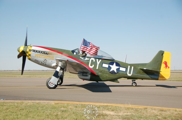 p51dmustangleftsideview2.jpg