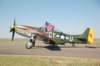 p51dmustangleftsideview2_small.jpg