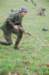 usparatrooper3_small.jpg