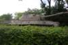 leopard1rightsideview_small.jpg