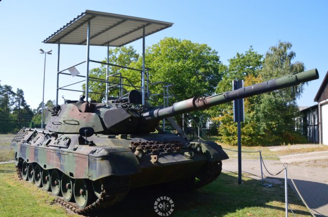 leopard1.jpg