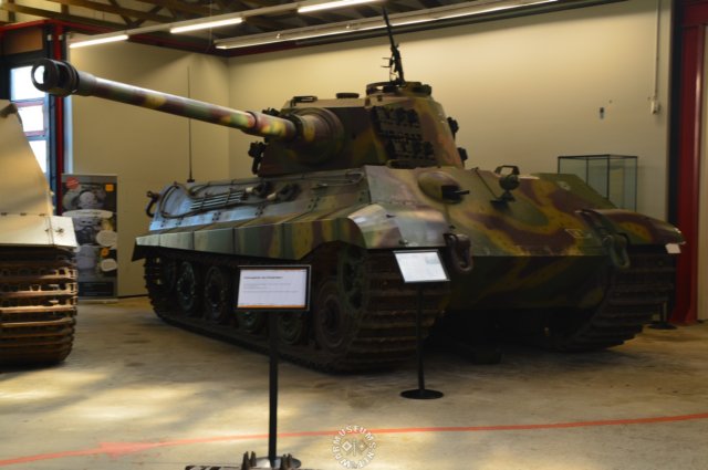 tigerii.jpg