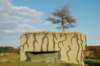 bunker5_small.jpg