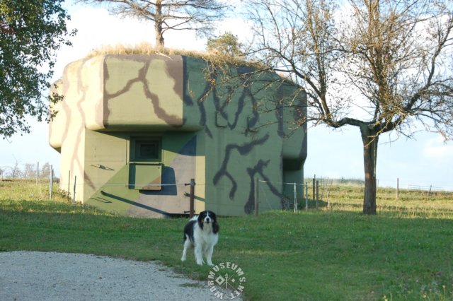 bunkerwithdog.jpg