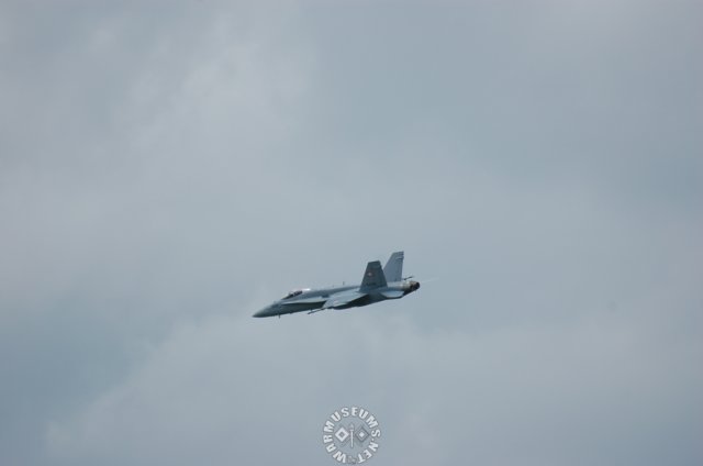 f18hornetswiterland.jpg