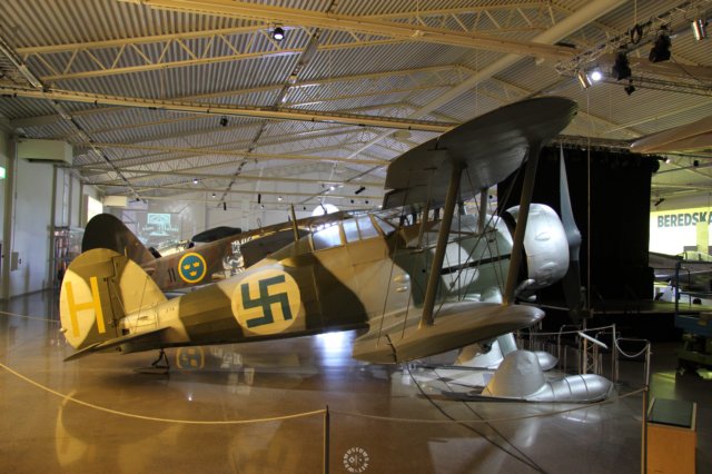 glostergladiator.jpg