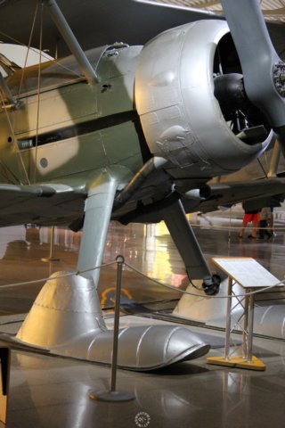 glostergladiator3.jpg