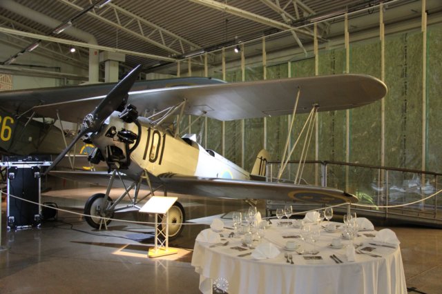 raabkatzensteinrk26tigerschwalbe.jpg