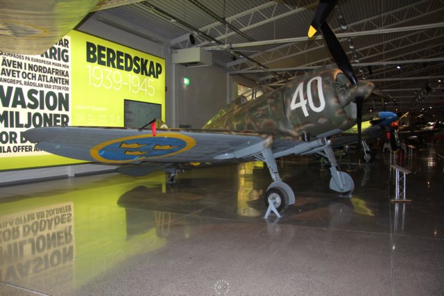 reggianere2000falco1.jpg