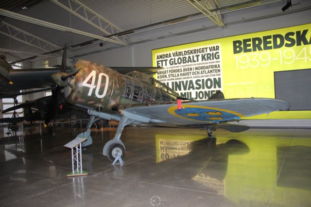 reggianere2000falco12.jpg