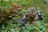germancamouflagedsoldierwithstg44_small.jpg