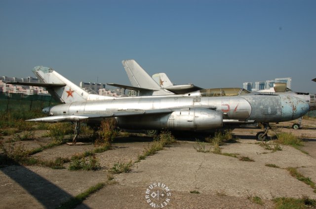 yak25rvmandrake.jpg