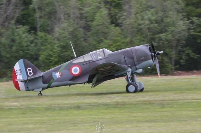 curtissp36hawk3.jpg