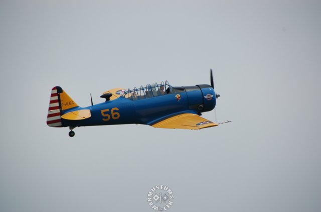 northamericant6texan2.jpg