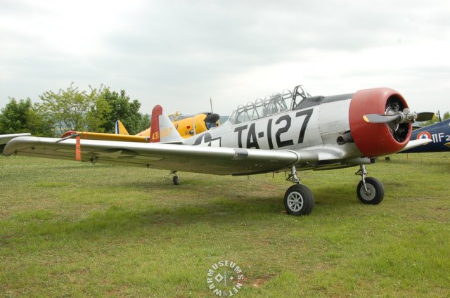 northamericant6texan3.jpg