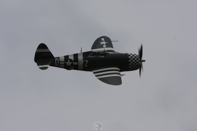 p47thunderbolt5.jpg