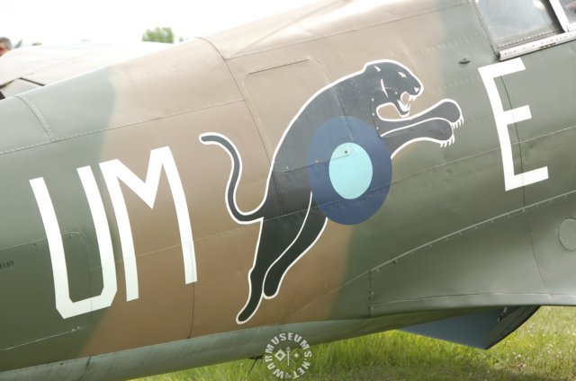 spitfiremkxixmarkings.jpg