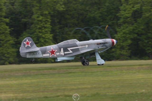 yak3.jpg