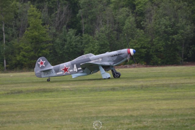 yak32.jpg