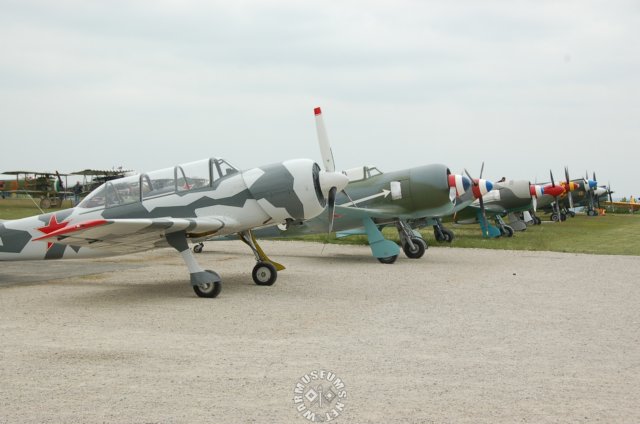 yak52withotheraircrafts.jpg