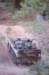 sdkfz10rearview_small.jpg