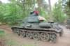 t3485leftrearview_small.jpg