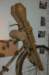 twopanzerfaustmodel60m_small.jpg
