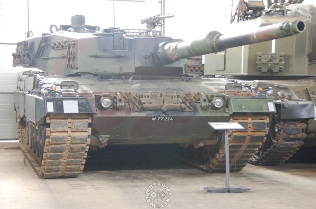 leopard1.jpg