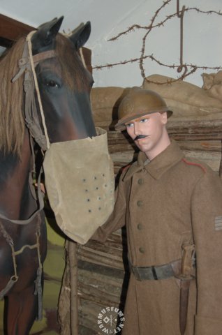 belgiansoldierwithhorse.jpg