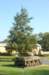m10wolverinetankdestroyerrearview_small.jpg