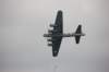 b176_small.jpg