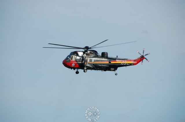 seaking3.jpg