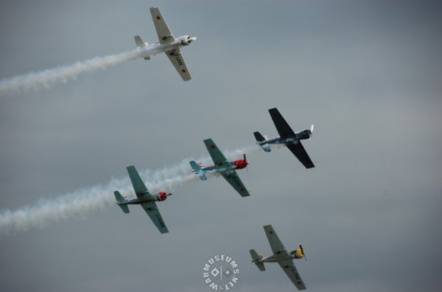 yak50.jpg