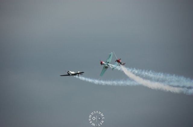 yak502.jpg