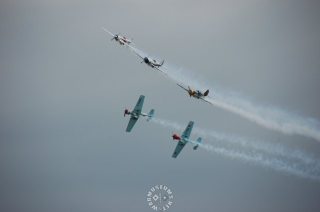 yak505.jpg