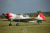 yak508_small.jpg