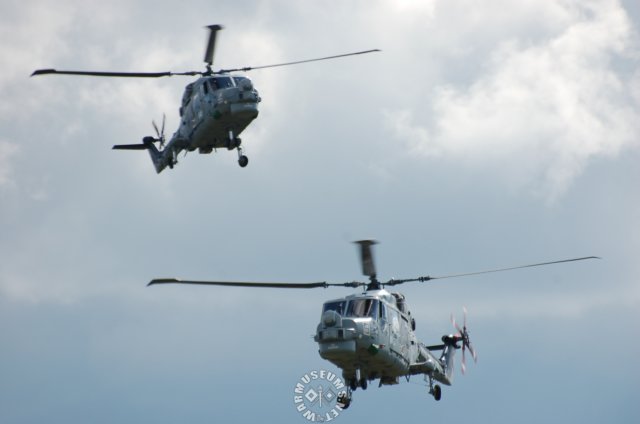 twowestlandlynx2.jpg